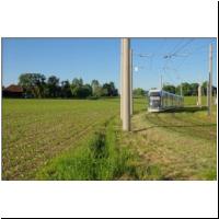 2022-05-18 °2 Traundorfer Straße 031.jpg